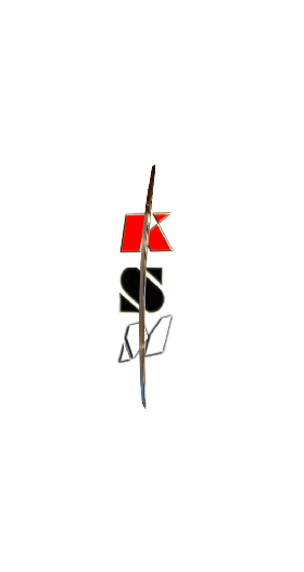 Logo ®